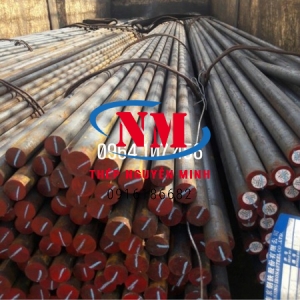 THÉP TRÒN ĐẶC C45 (S45C) phi 42, LÁP TRÒN ĐẶC C45 (S45C) phi 42