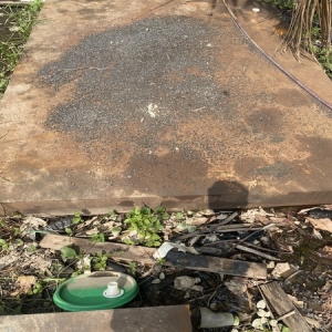 THÉP TẤM ASTM A572 GR.50 DÀY 66mm - 66ly - 66li