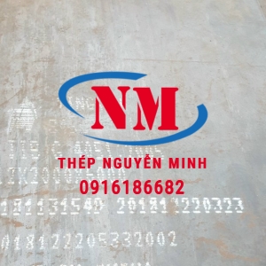 THÉP TẤM S45C 1.6X1225MMX2500MM 